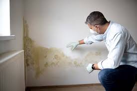 Environmental Consulting for Mold Prevention in Macclenny, FL